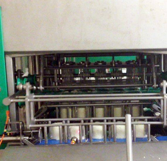 soins-piquage-pate-persillee-2