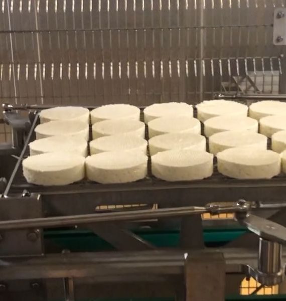 empileur-conformateur-claies-0